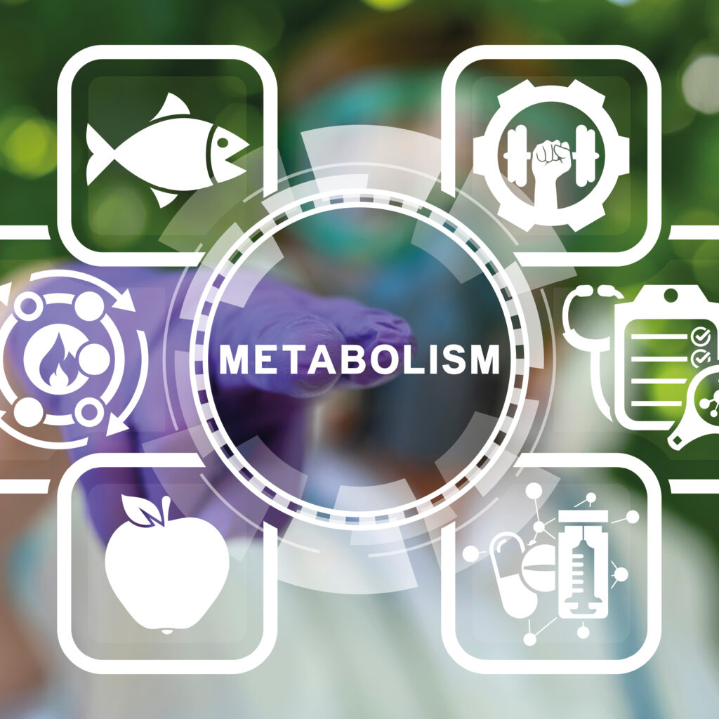 immagini metabolismo (shutterstock 2116232855)