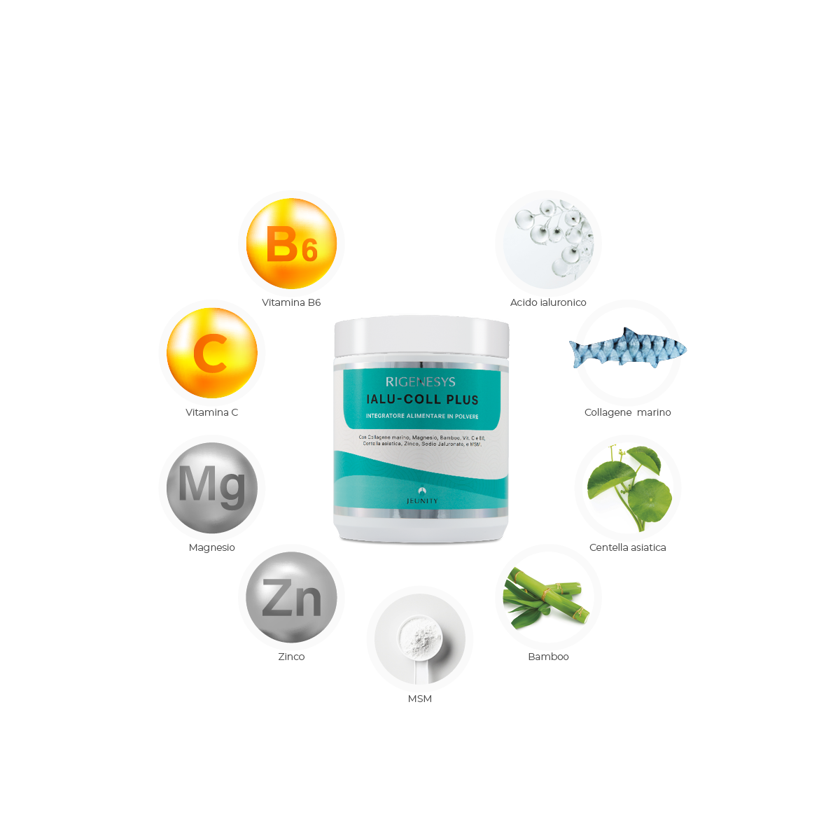ingredienti ialu coll plus(1200x1200)