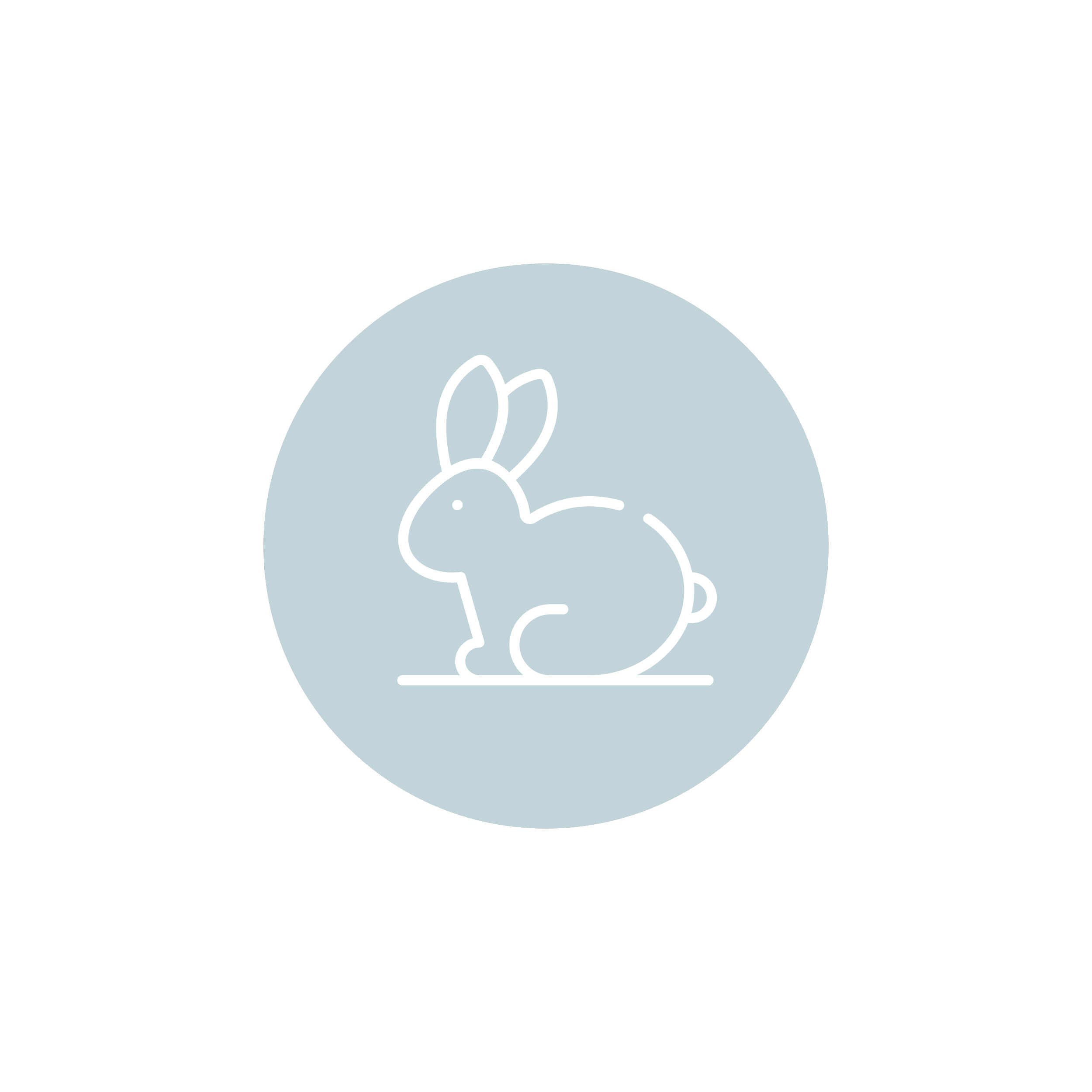 shelle no test animali