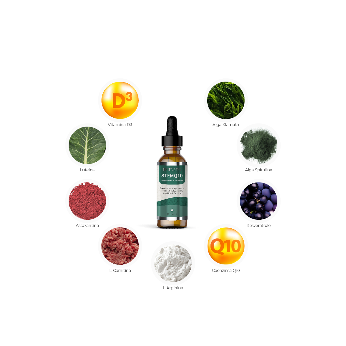 ingredienti stemq10(1200x1200)