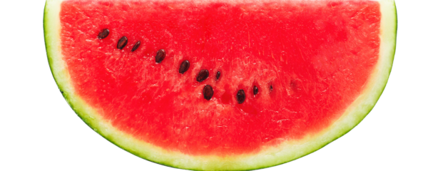CARNOSINA