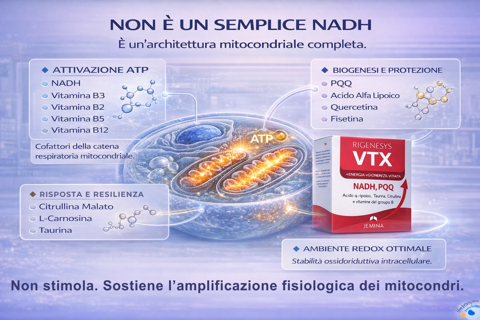 sostiene la produzione di atp
